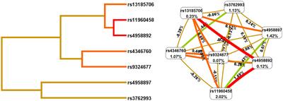 The polymorphisms of ANXA6 influence head and neck cancer susceptibility in the Chinese Han population